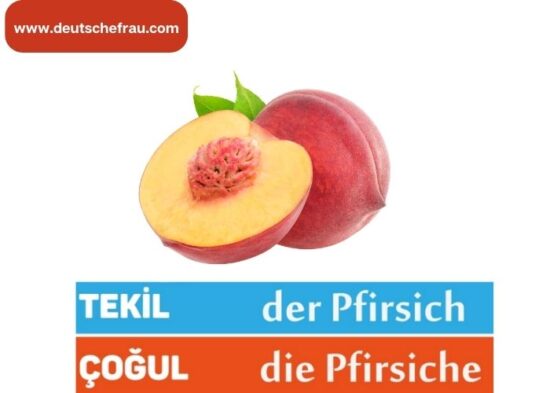 deutsch lernen für türken pdf