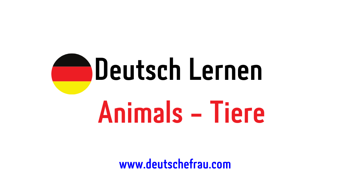 German Animals Vocabulary