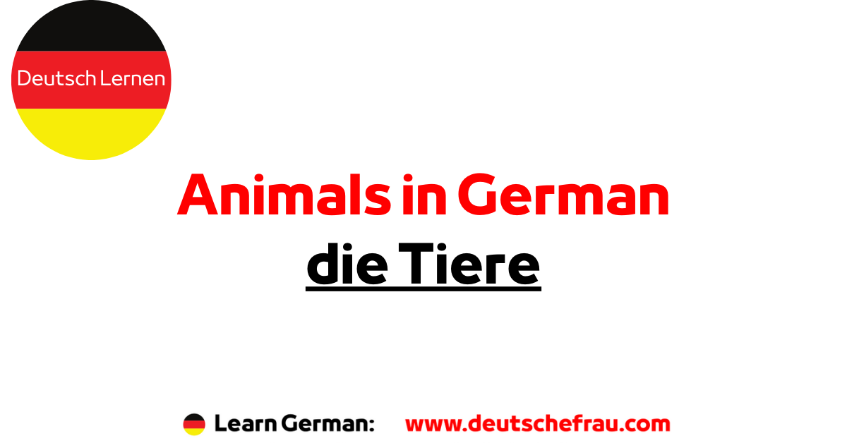 Animals in German